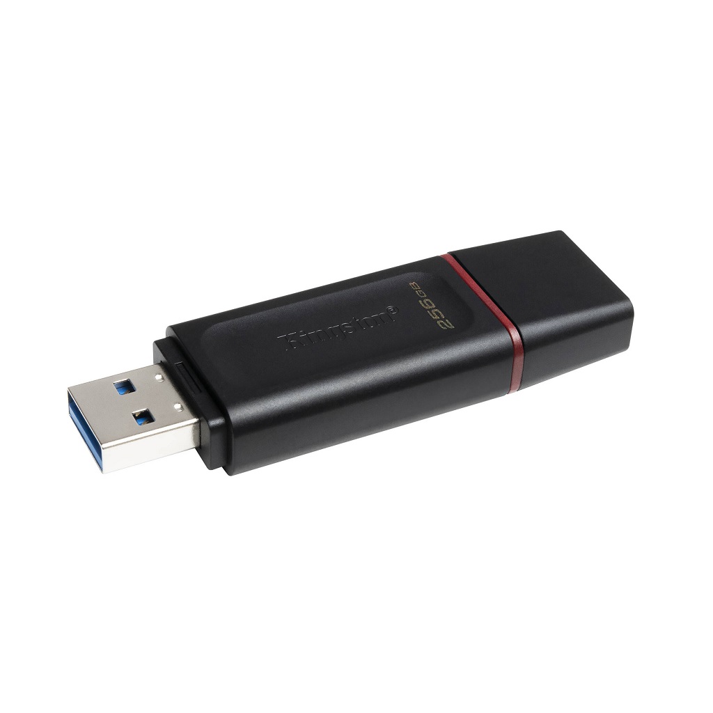 PEN DRIVE KINGSTON 256GB EXODIA